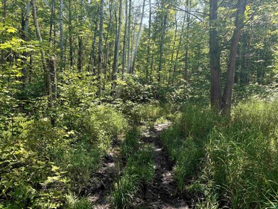 View of nature