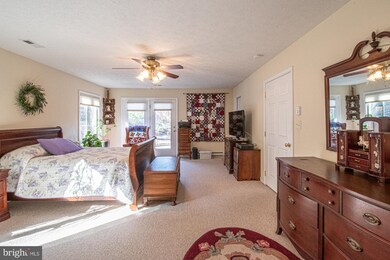 217 Messick Rd, Strasburg, VA 22657 - photo 5