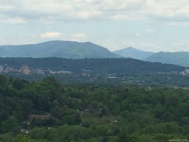 61 Ben Lippen School Rd unit 4, Asheville, NC 28806 - photo 2