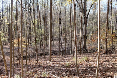 000 Parkersville Rd, Eddyville, KY 42038 - photo 3