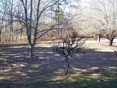 175 Stiles Ln, La Fayette, GA 30728 - photo 7