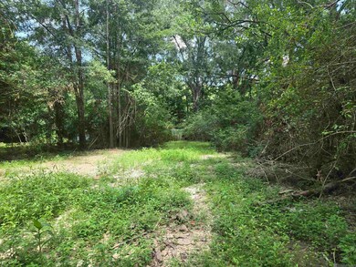 3110 Ramey Dr, Zachary, LA 70791 - photo 3