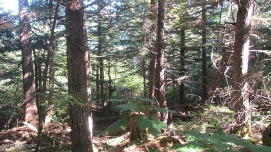 IMG_9431_Edited