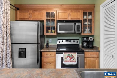 755 Laurelwood Condos, Wintergreen Resort, VA 22967 - photo 7