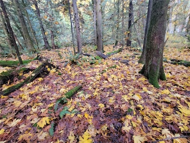 5376 Reese Hill Rd, Sumas, WA 98295 - photo 3