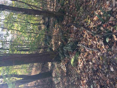 3580 S Old Clifty Rd, Bloomfield, IN 47424 - photo 4