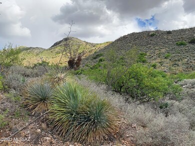 surrounding hills