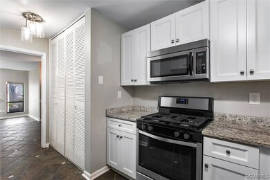 11811 S Briar Patch Dr, Midlothian, VA 23113 - photo 5