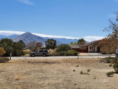 Looking towards street from back of lot