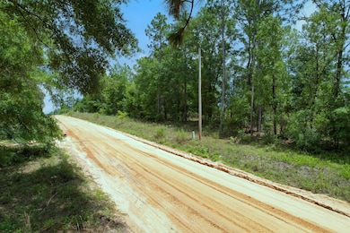 Union Avenue Interlachen unit Putnam FL, Interlachen, FL 32148 - photo 7