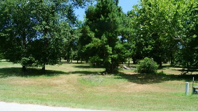 Lot 4 Wildwood Lake Dr, Huntsville, TX 77340 - photo 4