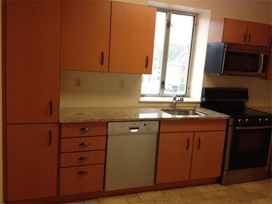 Hammond Park Condominiums unit 208, Chestnut Hill, MA 02467 - photo 3