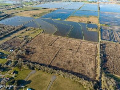 Tbd Napoleon St, Mamou, LA 70554 - photo 7