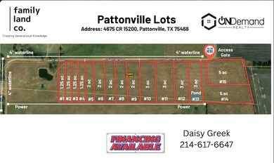 unlisted-address, Pattonville, TX 75468 - photo 2