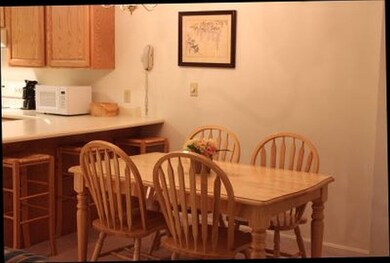 227 Main Nordic Inn 204 unit 204, Lincoln, NH 03251 - photo 5