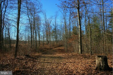 0 River Rd, Hedgesville, WV 25427 - photo 4