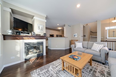 439 Pine Lake Cir unit 1, Vernon Hills, IL 60061 - photo 6