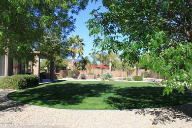 Huge backyard
