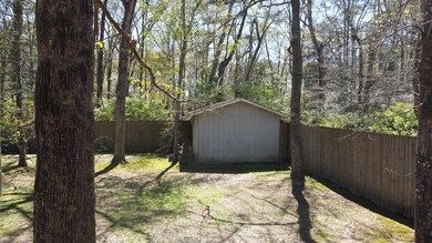 Storage in back yard