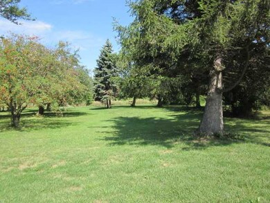 Yard/Garden