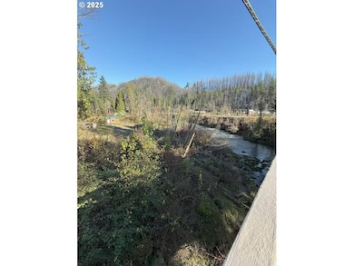 91241 Blue River Rd, Blue River, OR 97413 - photo 5
