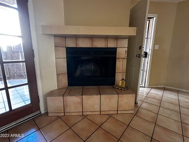 Fire Place in Great Room