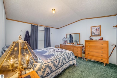 10269 30th Ave, Evart, MI 49631 - photo 6