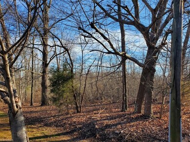 0000 Mack Rd, Asheboro, NC 27205 - photo 6