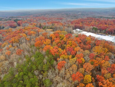 0 Hogan Pond Ln unit 25607548, Ball Ground, GA 30107 - photo 3