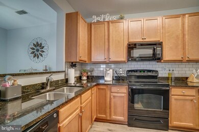 6161 Willow Place unit 205, Bealeton, VA 22712 - photo 7