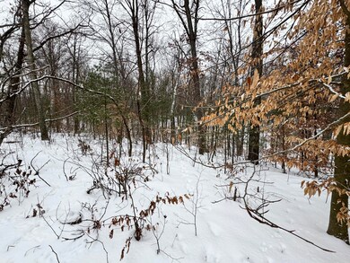 IMG_7092