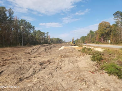 22 Acres Doctor Martin Luther King Junior Blvd, New Bern, NC 28562 - photo 6