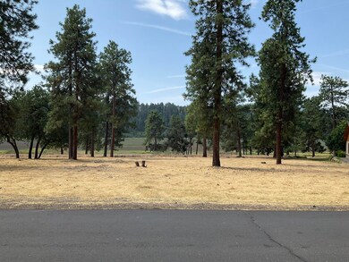 Mature Trees