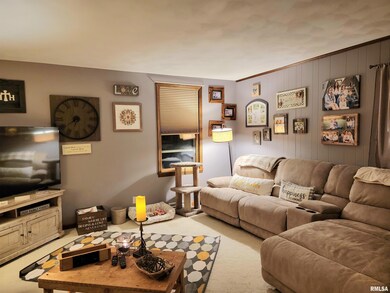 413 N Mclean St, Lincoln, IL 62656 - photo 2