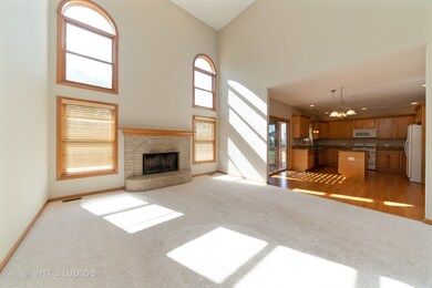317 Prairieview Dr, Oswego, IL 60543 - photo 7