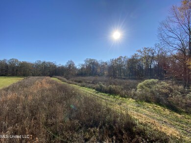 IMG_5259