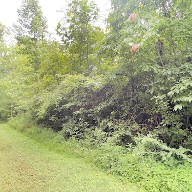 1111 Whitley Trails Subdivision, London, KY 40744 - photo 2