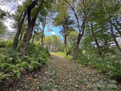 TBD Wyeth Dr unit 11, Blowing Rock, NC 28605 - photo 7