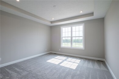 Empty room featuring light carpet and a raised ceiling