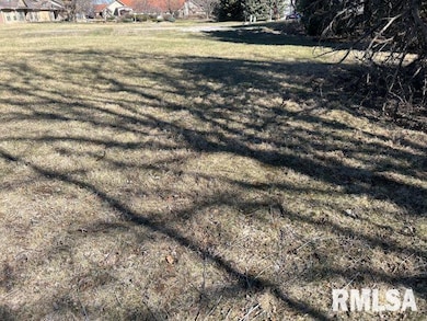 238 12th Ave, Moline, IL 61265 - photo 6