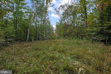 0 Holly Corner Rd unit VAST2043660, Fredericksburg, VA 22406 - photo 5