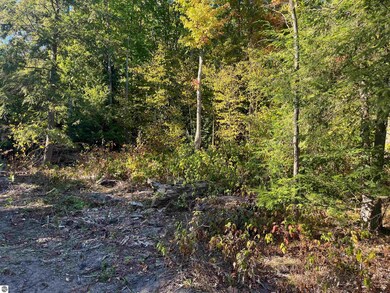 4735 Leaning Birch Dr unit 1, Traverse City, MI 49685 - photo 4