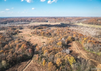 TBD SW 875 St, Kane Township, IL 62031 - photo 2