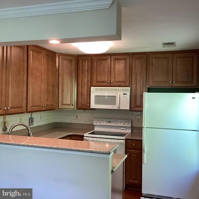 137 Timberbrook Ln unit 302, Gaithersburg, MD 20878 - photo 6