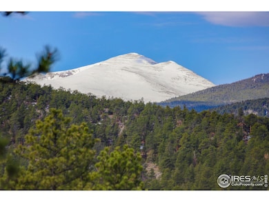 147 Cedar Dr, Lyons, CO 80540 - photo 3