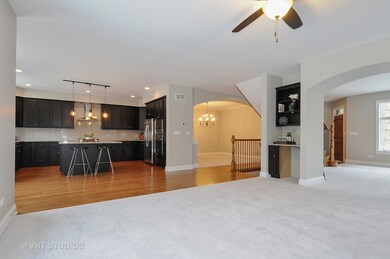 828 Leona Mae Ct unit 828, Naperville, IL 60563 - photo 4