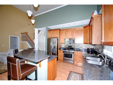 Large chefs dream kitchen with stainless appliance