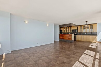 Park Place Tower unit 4101, Chicago, IL 60613 - photo 7