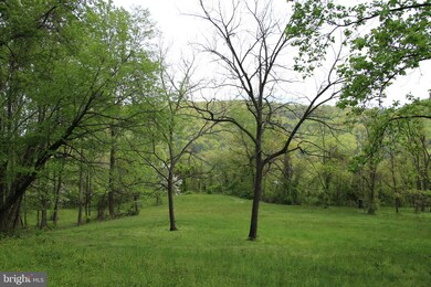 0 Chestnut Run Ln unit VARP107578, Sperryville, VA 22740 - photo 7