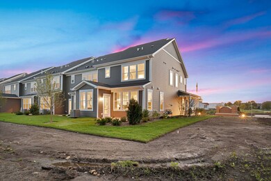 5917 Hawkweed Dr unit 8702, Naperville, IL 60564 - photo 3